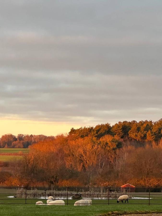 The Pheasantry Bed and Breakfast Wymondham  Eksteriør billede
